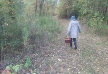 Grzybiarze – apelujemy o rozwagę!