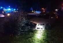 Pijany kierowca wjechał w drzewo