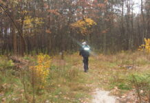 Szczęśliwy finał poszukiwań zagubionych grzybiarzy