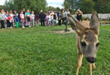 Dzieci z terenów powodziowych w Puszczy Sandomierskiej -I turnus już za nami