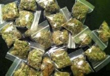 Odpowiedzą za posiadanie narkotyków