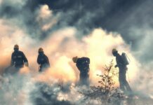 Wypalanie traw to śmiertelne niebezpieczeństwo – Policja ostrzega przed skutkami