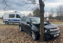 Dwa zdarzenia z udziałem zwierzyny