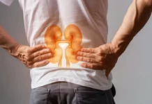 Duże zainteresowanie badaniami nerek