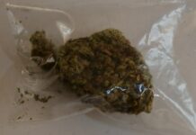 Odpowiedzą za posiadanie narkotyków