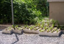 Zazielenia się skwer przy Al. Jana Pawła II 12 i 14