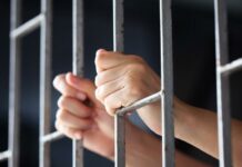 Odpowie za ponad 20 kradzieży