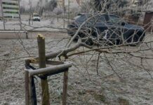 17-latek odpowie za zniszczenie mienia