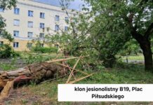 Bilans strat po burzy – ważne informacje dla mieszkańców