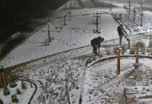 Nieletni odpowiedzą za zniszczenie mienia