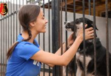 Nowe schronisko – nowe wyposażenie