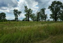 Startuje koszenie łąki na Błoniach