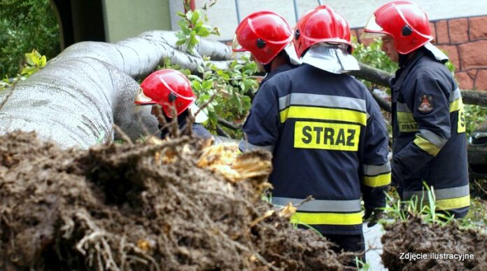 straz2