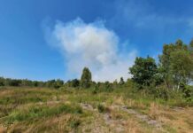 Pożar na poligonie w Lipie