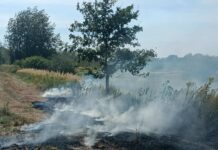 Wielki pożar w Dąbrowie Rzeczyckiej