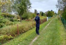 Dzielnicowi patrolują ogrody działkowe
