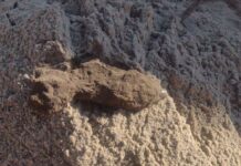 Niewybuch na terenie jednej z posesji w Przędzelu