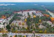 Modernizacja alejek na cmentarzu komunalnym