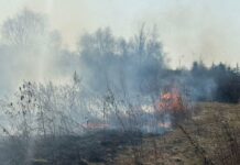 Pożar na granicy powiatów. Policjanci zatrzymali sprawcę podpalenia