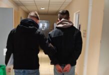 Podpalali lasy w Nadleśnictwie Rozwadów – grozi im nawet 10 lat więzienia