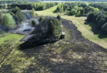 Pożar nieużytków i lasu w Obojni