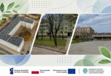 Więcej zieleni i retencji wody. Trzy nowe inwestycje w Stalowej Woli