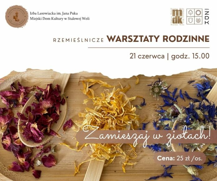 warsztaty rodzinne 21 czerwca - grafika