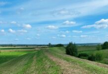 Ruszyła modernizacja wałów przeciwpowodziowych