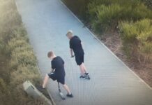 13-latek odpowie za uszkodzenie mienia
