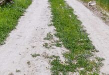 Nowa inwestycja drogowa w Zarzeczu. 1,3 km drogi dojazdowej zostanie utwardzone