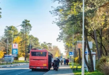Na Wszystkich Świętych pojadą dodatkowe autobusy. MZK uruchamia specjalne linie